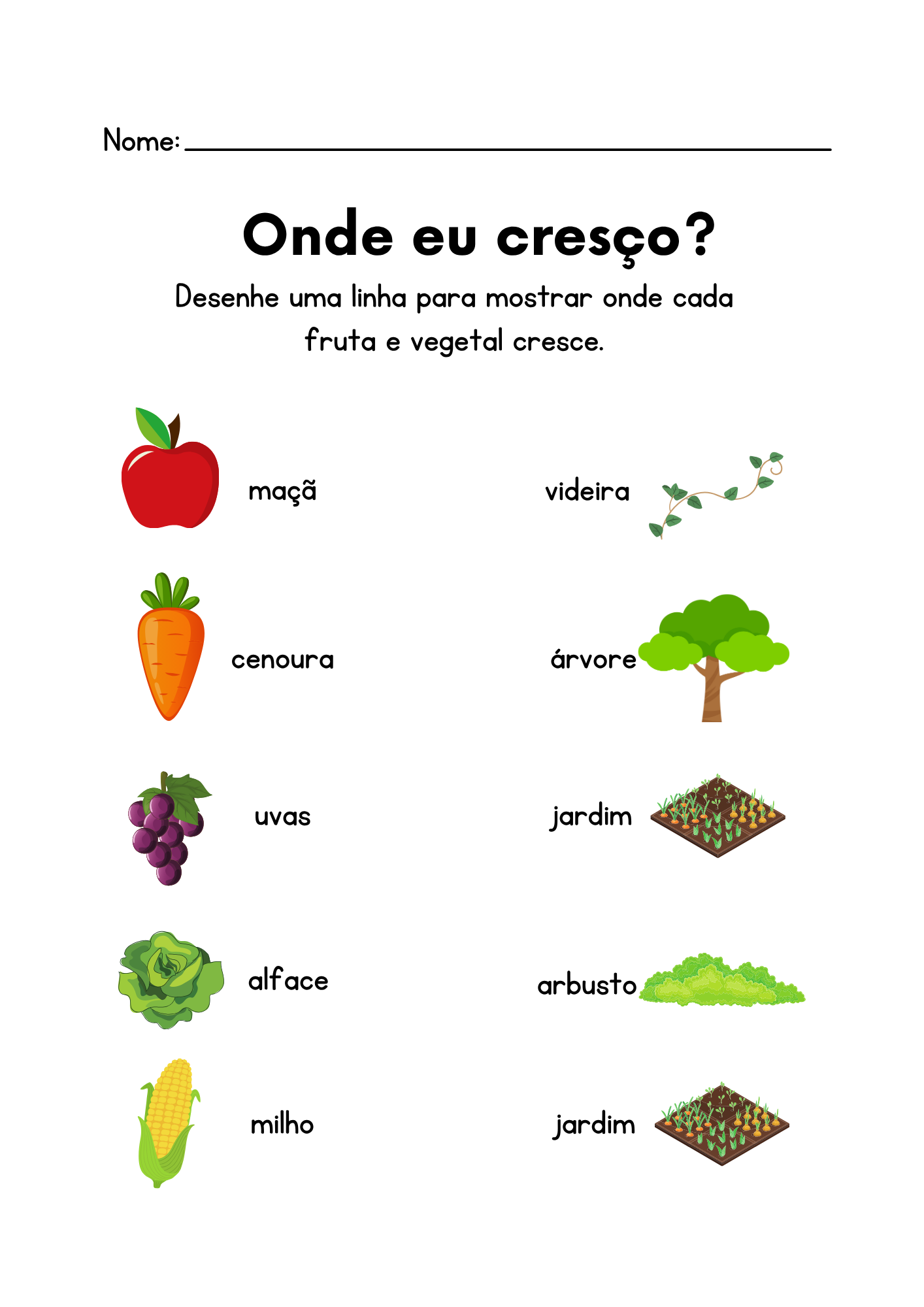 Cópia de Cópia de Ciências.zip - 50